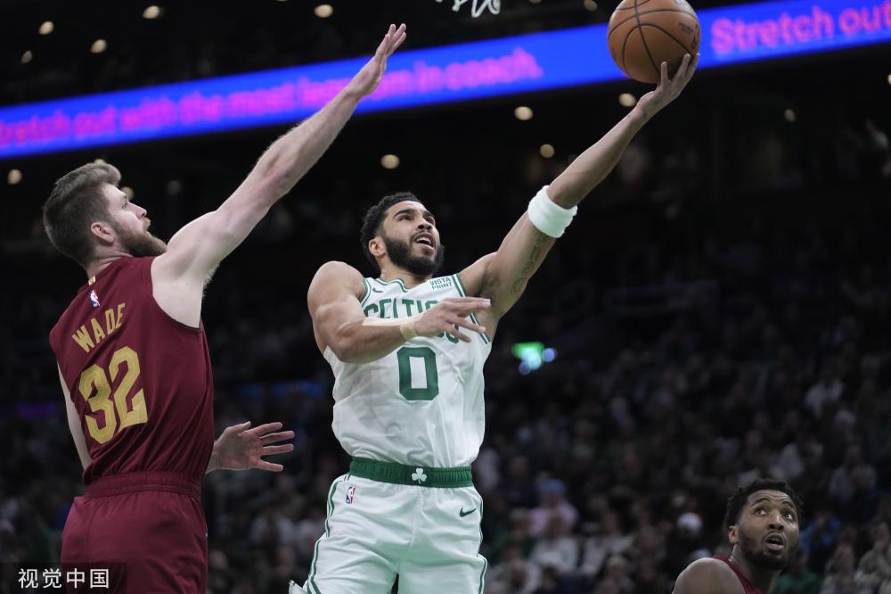 乓球的整体 乓球的整体