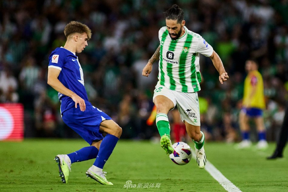 广泛的关注 广泛的关注