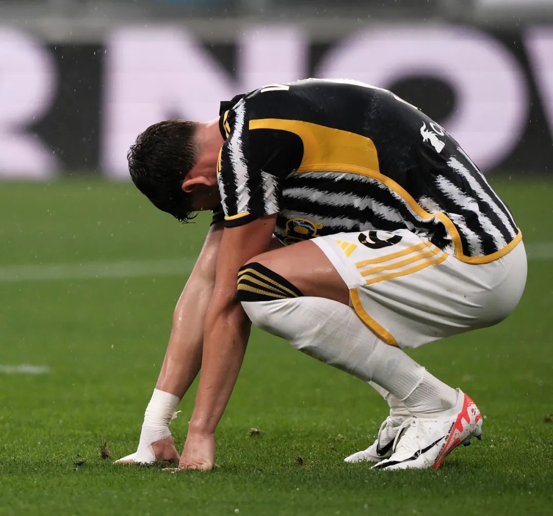 仅贡献了高 仅贡献了高